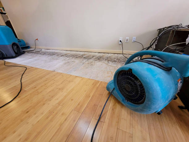 Professional Basement Flood Cleanup technician working in Munds Park, AZ